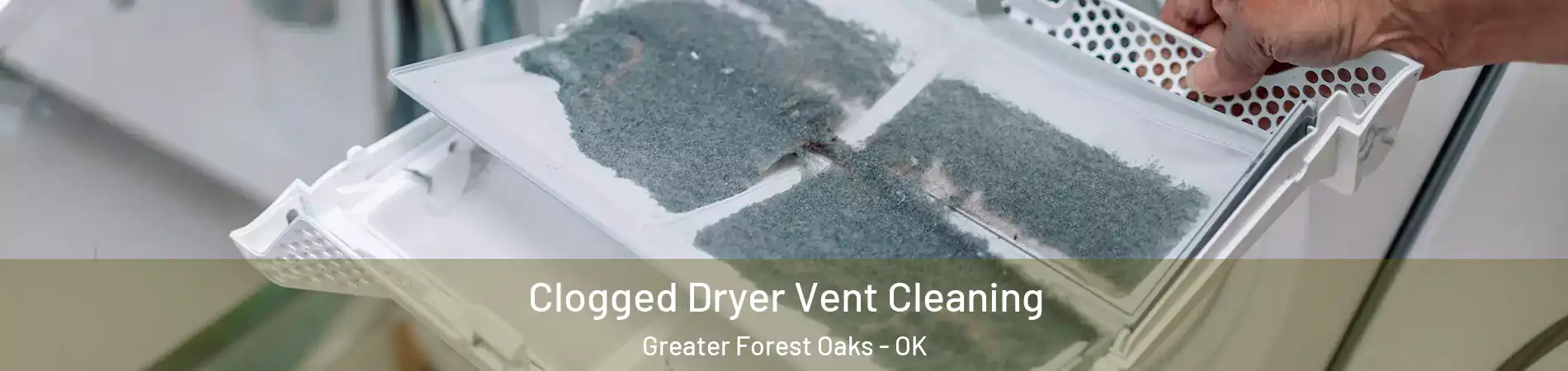 Clogged Dryer Vent Cleaning Greater Forest Oaks - OK