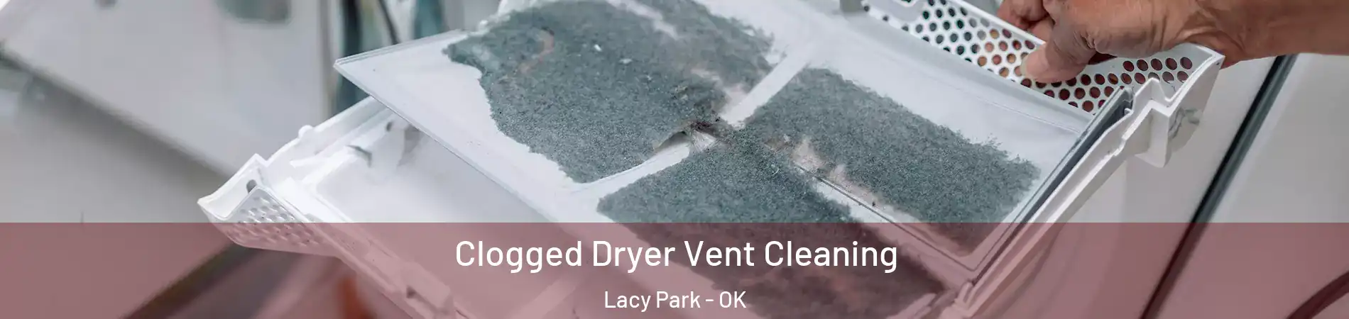 Clogged Dryer Vent Cleaning Lacy Park - OK