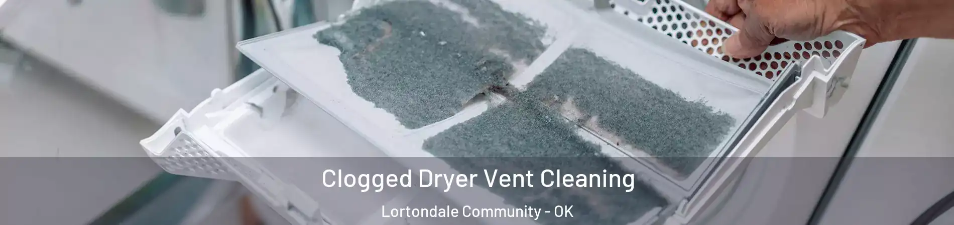 Clogged Dryer Vent Cleaning Lortondale Community - OK