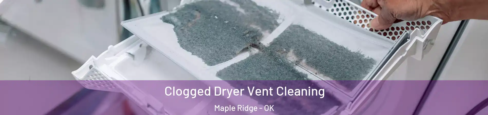 Clogged Dryer Vent Cleaning Maple Ridge - OK