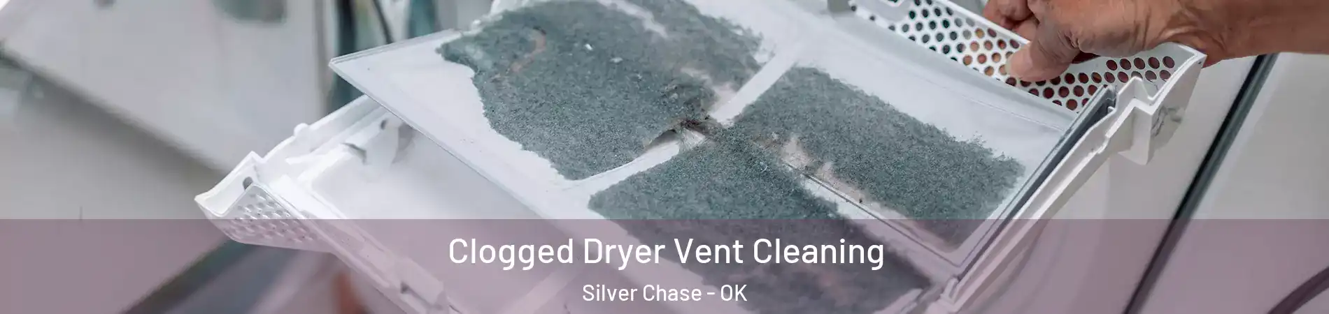 Clogged Dryer Vent Cleaning Silver Chase - OK