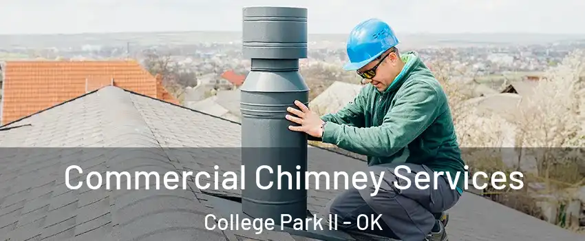 Commercial Chimney Services College Park II - OK