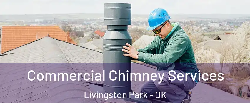 Commercial Chimney Services Livingston Park - OK