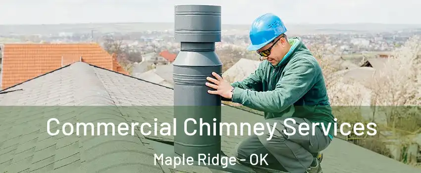 Commercial Chimney Services Maple Ridge - OK