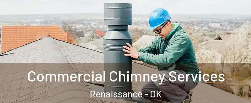 Commercial Chimney Services Renaissance - OK