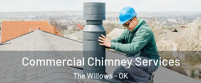 Commercial Chimney Services The Willows - OK