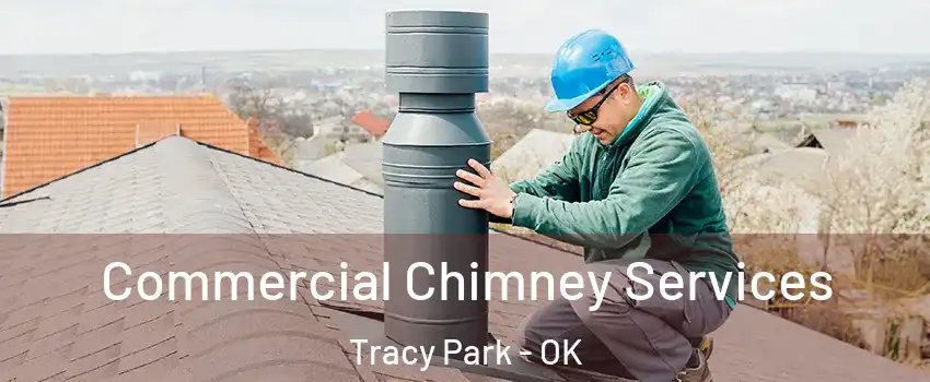 Commercial Chimney Services Tracy Park - OK