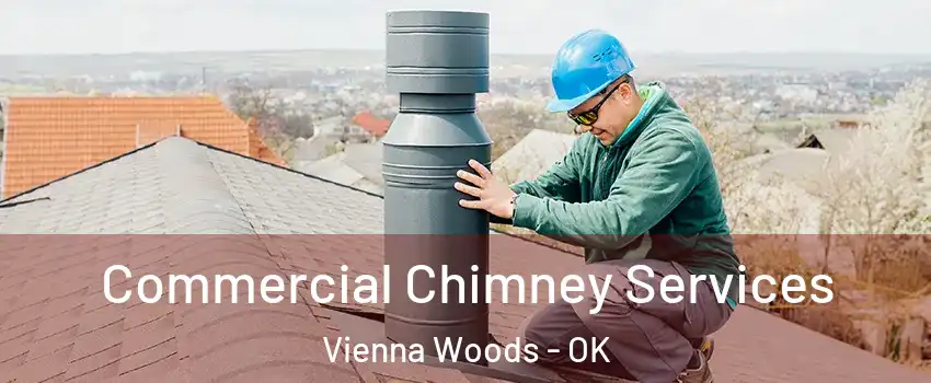 Commercial Chimney Services Vienna Woods - OK