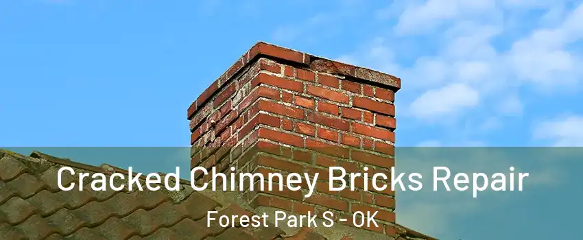 Cracked Chimney Bricks Repair Forest Park S - OK