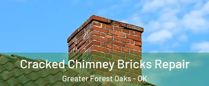 Cracked Chimney Bricks Repair Greater Forest Oaks - OK