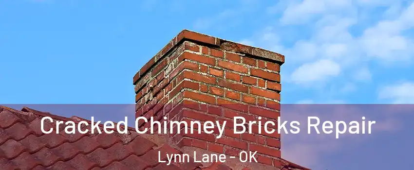 Cracked Chimney Bricks Repair Lynn Lane - OK