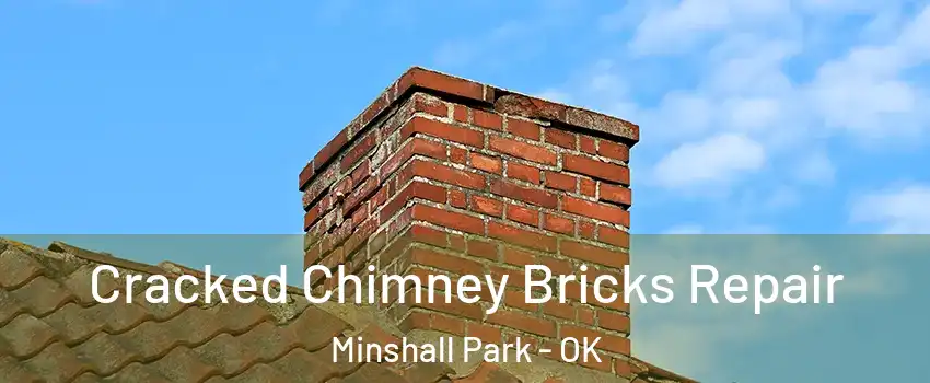 Cracked Chimney Bricks Repair Minshall Park - OK