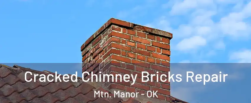 Cracked Chimney Bricks Repair Mtn. Manor - OK