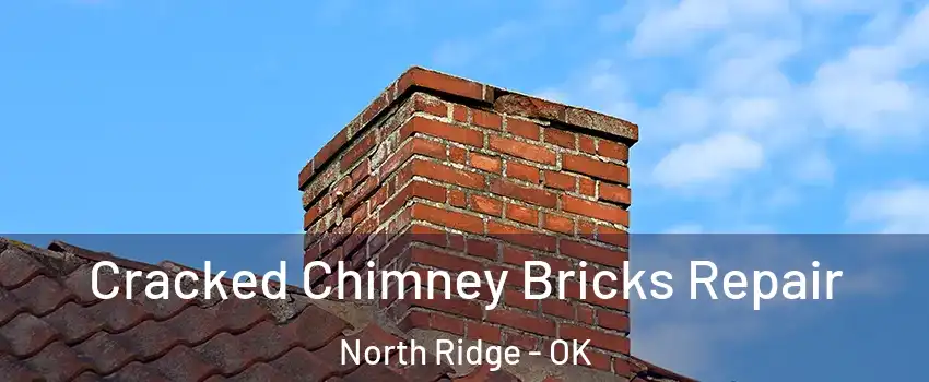 Cracked Chimney Bricks Repair North Ridge - OK