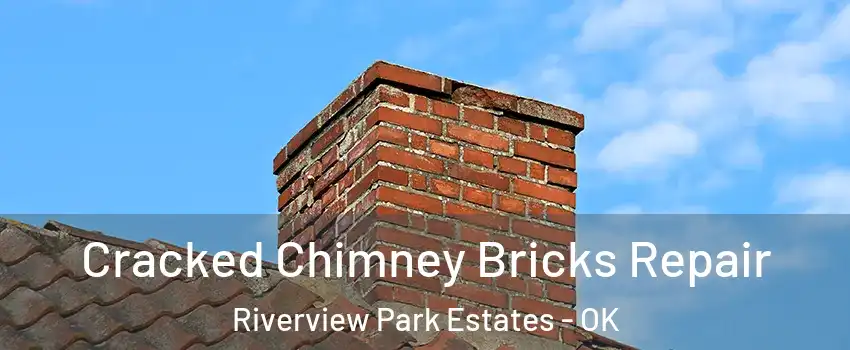 Cracked Chimney Bricks Repair Riverview Park Estates - OK