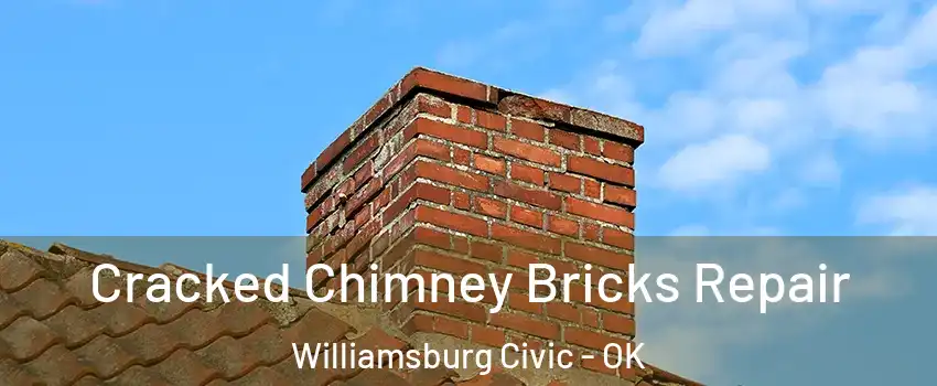 Cracked Chimney Bricks Repair Williamsburg Civic - OK