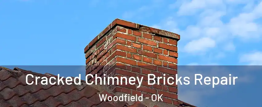Cracked Chimney Bricks Repair Woodfield - OK
