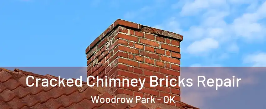 Cracked Chimney Bricks Repair Woodrow Park - OK