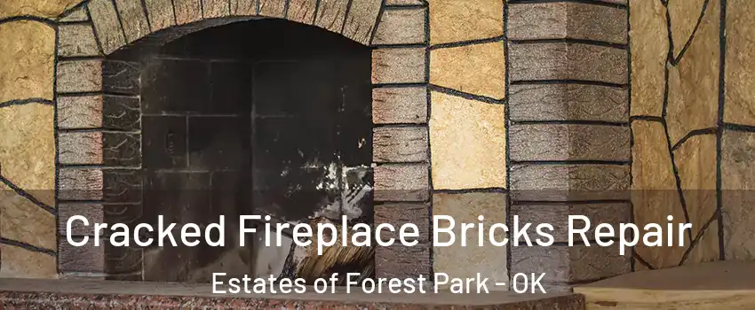 Cracked Fireplace Bricks Repair Estates of Forest Park - OK