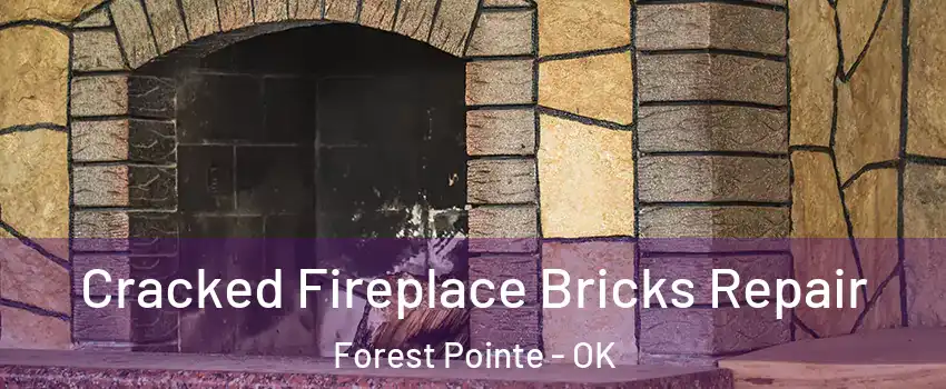 Cracked Fireplace Bricks Repair Forest Pointe - OK
