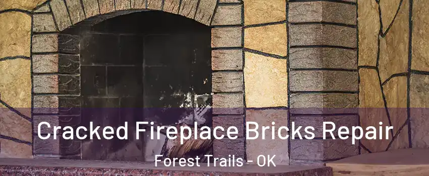 Cracked Fireplace Bricks Repair Forest Trails - OK