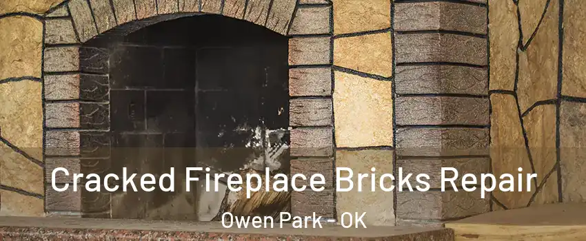 Cracked Fireplace Bricks Repair Owen Park - OK