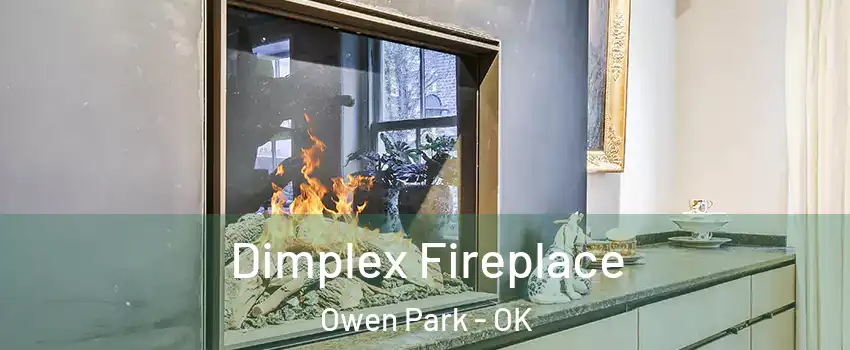 Dimplex Fireplace Owen Park - OK