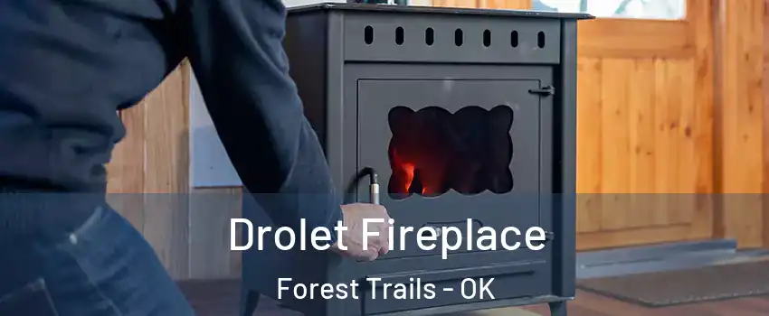 Drolet Fireplace Forest Trails - OK