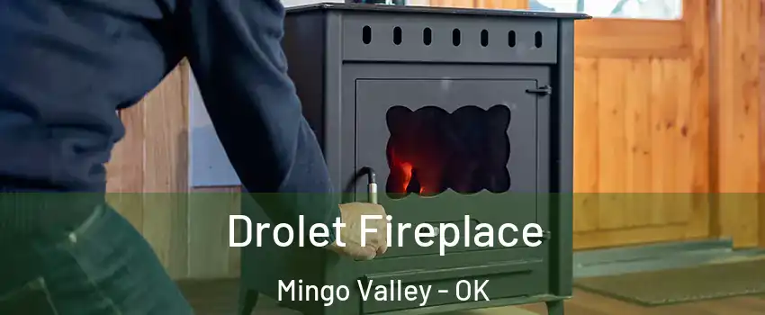 Drolet Fireplace Mingo Valley - OK