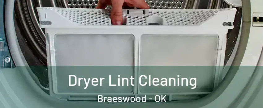 Dryer Lint Cleaning Braeswood - OK