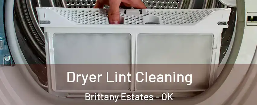 Dryer Lint Cleaning Brittany Estates - OK
