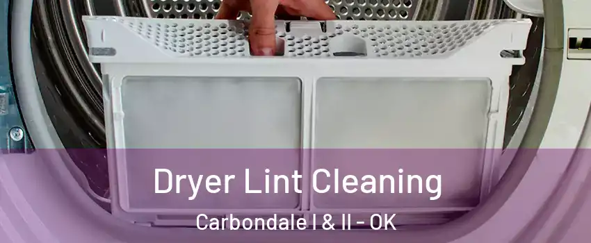 Dryer Lint Cleaning Carbondale I & II - OK
