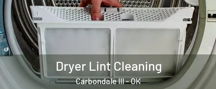 Dryer Lint Cleaning Carbondale III - OK