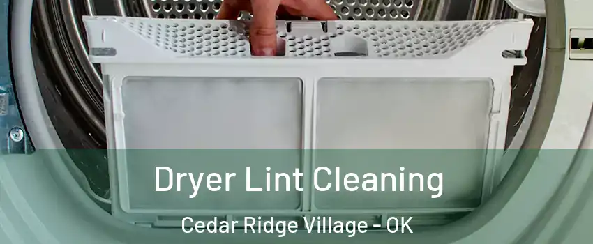 Dryer Lint Cleaning Cedar Ridge Village - OK