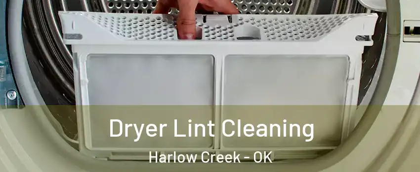 Dryer Lint Cleaning Harlow Creek - OK