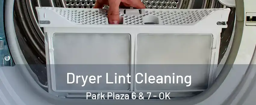 Dryer Lint Cleaning Park Plaza 6 & 7 - OK