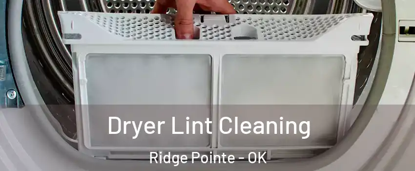 Dryer Lint Cleaning Ridge Pointe - OK