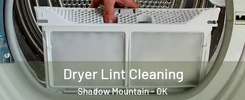 Dryer Lint Cleaning Shadow Mountain - OK