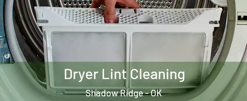 Dryer Lint Cleaning Shadow Ridge - OK