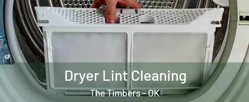Dryer Lint Cleaning The Timbers - OK