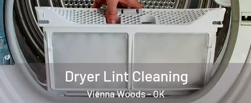 Dryer Lint Cleaning Vienna Woods - OK