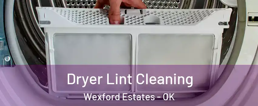 Dryer Lint Cleaning Wexford Estates - OK