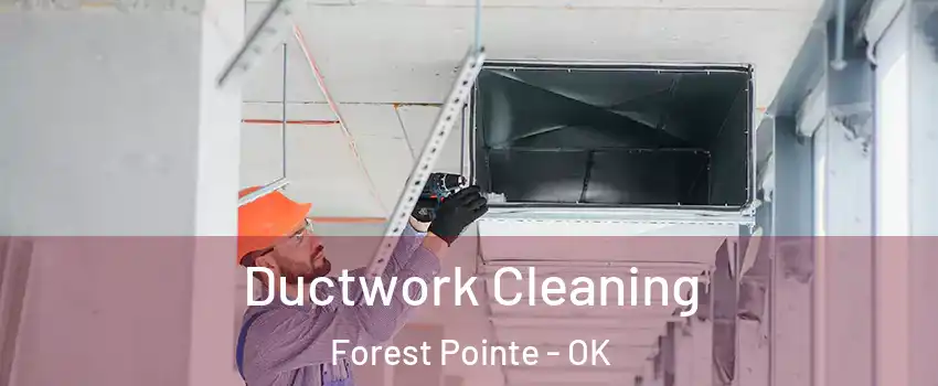 Ductwork Cleaning Forest Pointe - OK