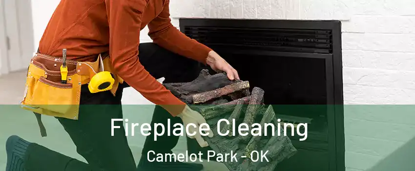 Fireplace Cleaning Camelot Park - OK