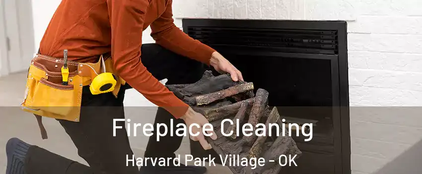 Fireplace Cleaning Harvard Park Village - OK