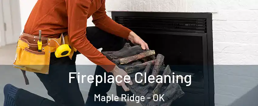 Fireplace Cleaning Maple Ridge - OK