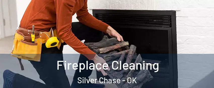 Fireplace Cleaning Silver Chase - OK