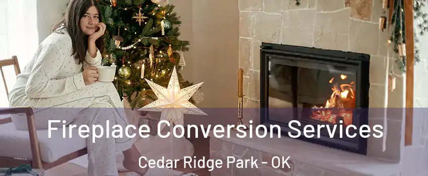 Fireplace Conversion Services Cedar Ridge Park - OK