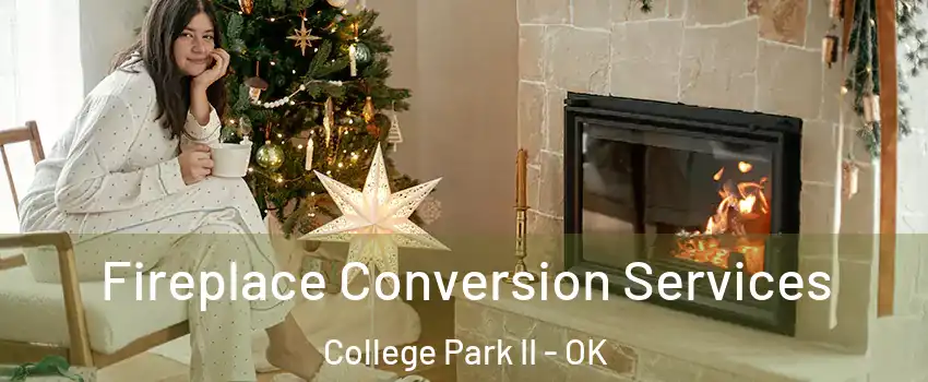 Fireplace Conversion Services College Park II - OK
