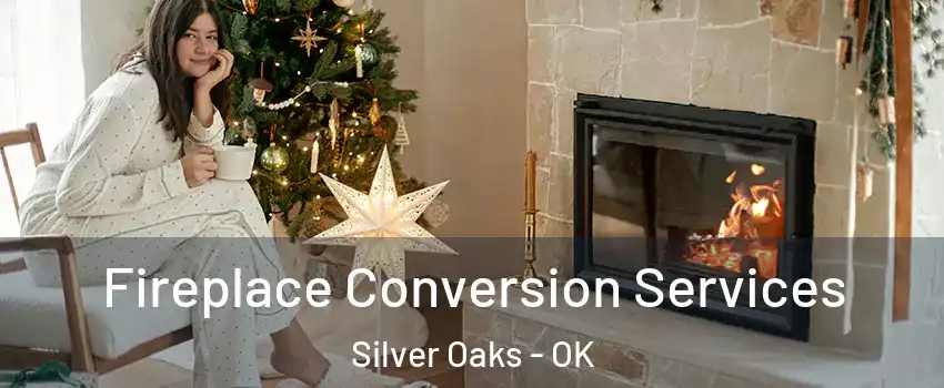 Fireplace Conversion Services Silver Oaks - OK